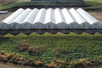 Timberland Property for sale in Montgomery County, Virginia