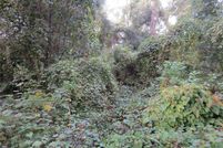 Recreational Property for sale in Marion County, Florida