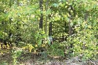Land for sale in Colbert County, Alabama