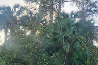 Land for sale in Flagler County, Florida