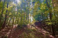 Undeveloped Land for sale in Gilmer County, Georgia