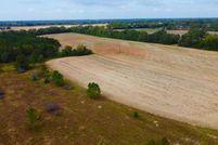 Land for sale in Henry County, Alabama
