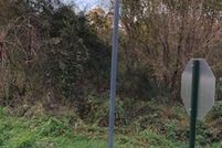 Land for sale in Cleburne County, Alabama