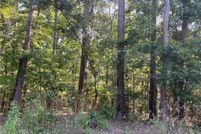 Undeveloped Land for sale in Rockdale County, Georgia