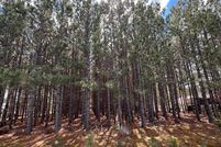 Undeveloped Land in Beltrami County, Minnesota