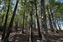 Undeveloped Land for sale in Coahoma County, Mississippi