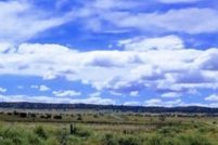 Land for sale in Apache County, Arizona