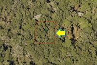 Undeveloped Land in Citrus County, Florida