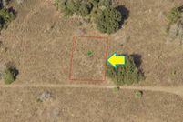 Undeveloped Land in Citrus County, Florida