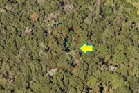 Undeveloped Land in Citrus County, Florida