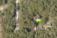 Undeveloped Land in Citrus County, Florida