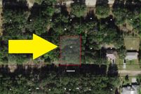 Undeveloped Land in Citrus County, Florida