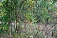 Homesite for sale in Walker County, Alabama