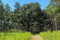 Land for sale in Livingston Parish, Louisiana