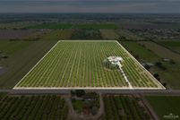 Undeveloped Land for sale in Hidalgo County, Texas