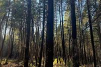 Land for sale in Siskiyou County, California