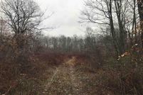 Land for sale in Preston County, West Virginia