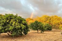 Timberland Property for sale in Honolulu County, Hawaii