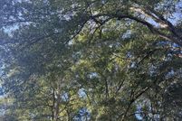 Land for sale in Rankin County, Mississippi