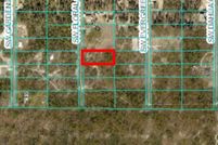Undeveloped Land for sale in Marion County, Florida