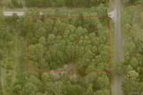 Undeveloped Land in Citrus County, Florida