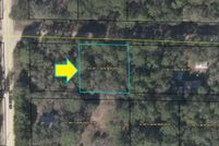 Undeveloped Land in Dixie County, Florida