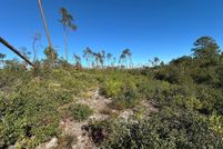 Land for sale in Levy County, Florida