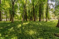 Undeveloped Land for sale in Marion County, Indiana