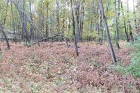 Undeveloped Land for sale in Isabella County, Michigan