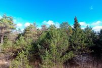 Undeveloped Land for sale in Cheboygan County, Michigan