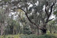 Land for sale in McIntosh County, Georgia