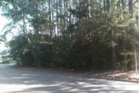 Land for sale in Henry County, Alabama