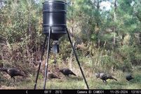 Farm and Ranch for sale in Amite County, Mississippi