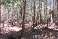 Land for sale in Houghton County, Michigan
