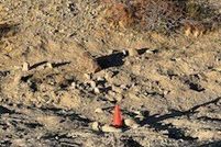 Farm and Ranch for sale in San Bernardino County, California