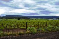 Recreational Property for sale in Apache County, Arizona