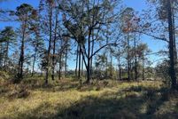 Homesite for sale in Glynn County, Georgia