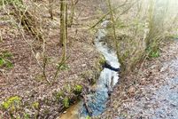 Undeveloped Land for sale in Gilmer County, Georgia