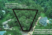 Undeveloped Land in Montgomery County, Texas