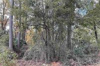 Land for sale in Bamberg County, South Carolina