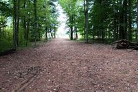 Undeveloped Land in Lapeer County, Michigan
