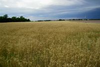 Undeveloped Land in Caddo County, Oklahoma