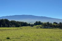 Timberland Property for sale in Hawaii County, Hawaii