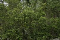 Land for sale in Putnam County, Florida