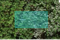 Undeveloped Land for sale in Polk County, Florida