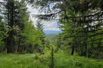 Undeveloped Land for sale in Lincoln County, Montana