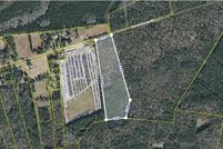 Undeveloped Land in Dorchester County, South Carolina