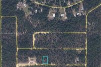 Undeveloped Land for sale in Clay County, Florida