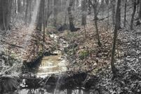 Land for sale in Jackson County, Georgia