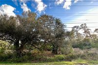 Undeveloped Land for sale in Hillsborough County, Florida